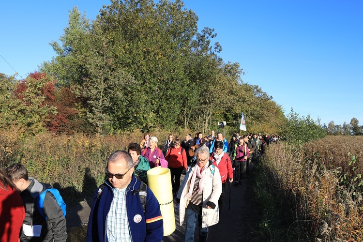 Pielgrzymka trzebnicka 2019 - cz. 15 (Bagno - Trzebnica)