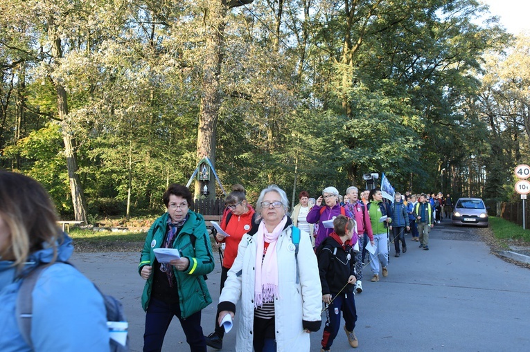 Pielgrzymka trzebnicka 2019 - cz. 15 (Bagno - Trzebnica)