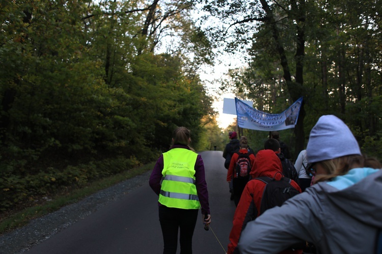 Pielgrzymka trzebnicka 2019 - cz. 15 (Bagno - Trzebnica)