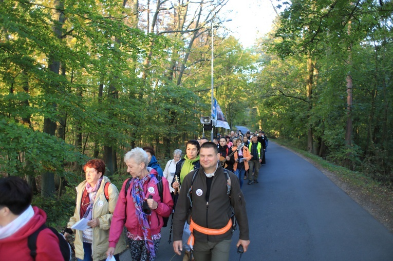 Pielgrzymka trzebnicka 2019 - cz. 15 (Bagno - Trzebnica)