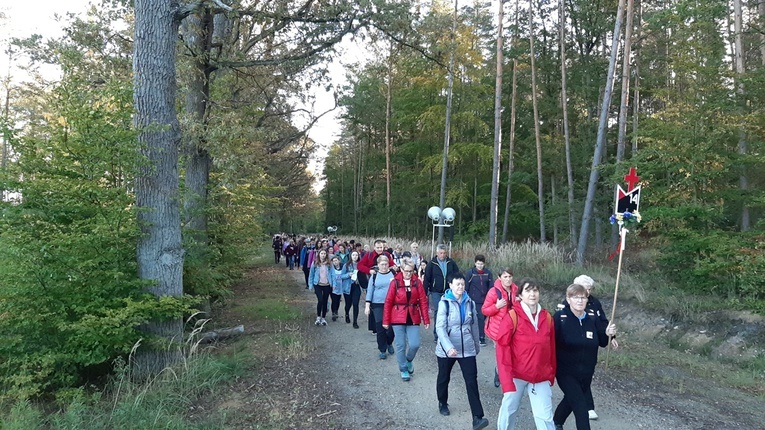 Pielgrzymka trzebnicka 2019 - cz. 16 (Milicz - Trzebnica)