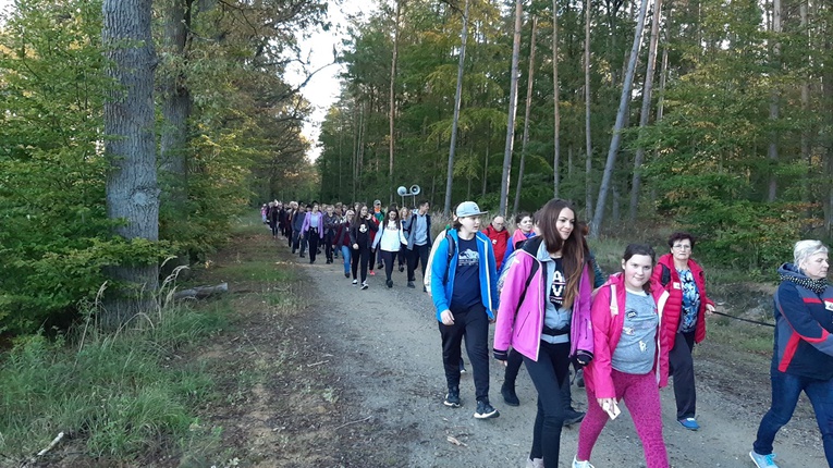 Pielgrzymka trzebnicka 2019 - cz. 16 (Milicz - Trzebnica)