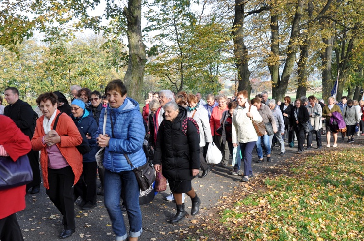 Pielgrzymka Żywego Różańca na Górę Świętej Anny