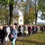 Pielgrzymka Żywego Różańca na Górę Świętej Anny