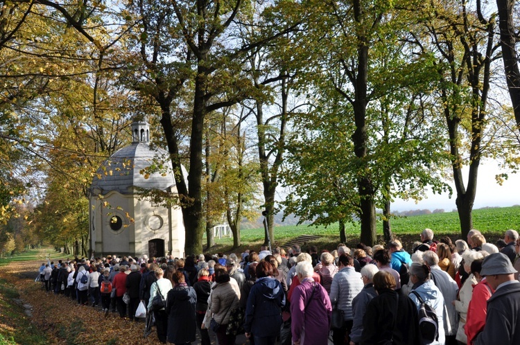 Pielgrzymka Żywego Różańca na Górę Świętej Anny