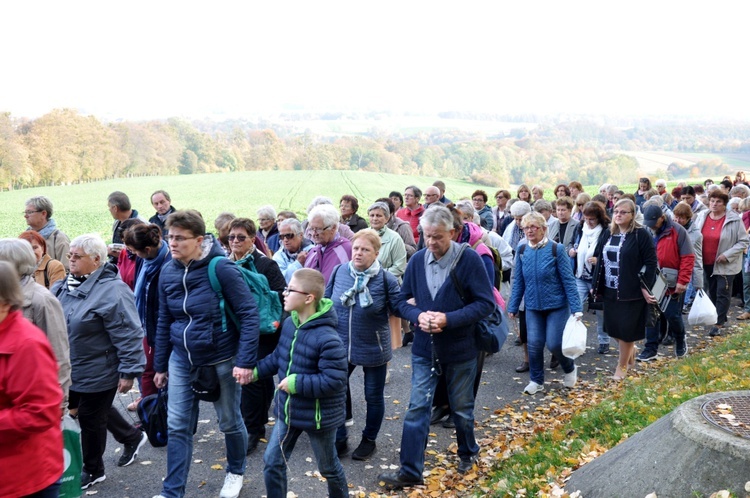 Pielgrzymka Żywego Różańca na Górę Świętej Anny