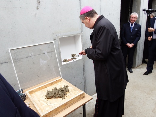 Moc w Mocarzewie (3)