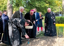 ▲	Cebulki posadzili także goście uroczystości. 