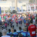 Półmaraton gliwicki   