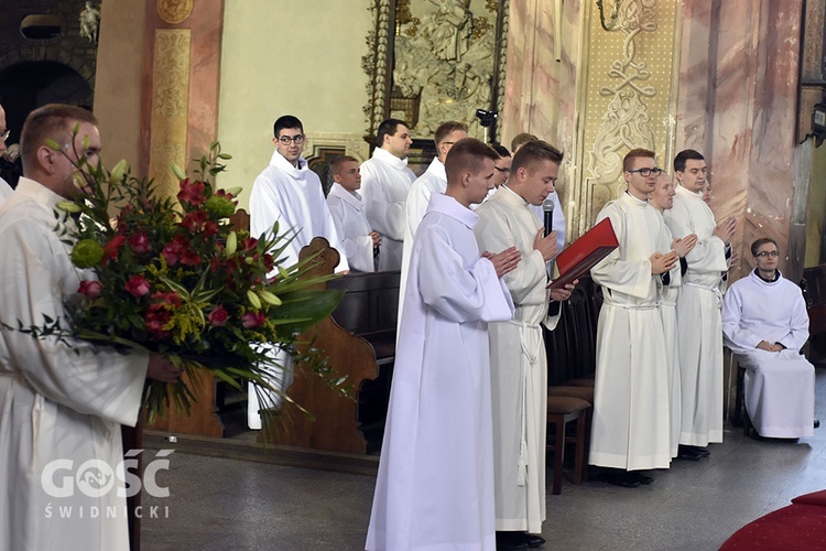 Obtuniczyny i kandydatura do święceń