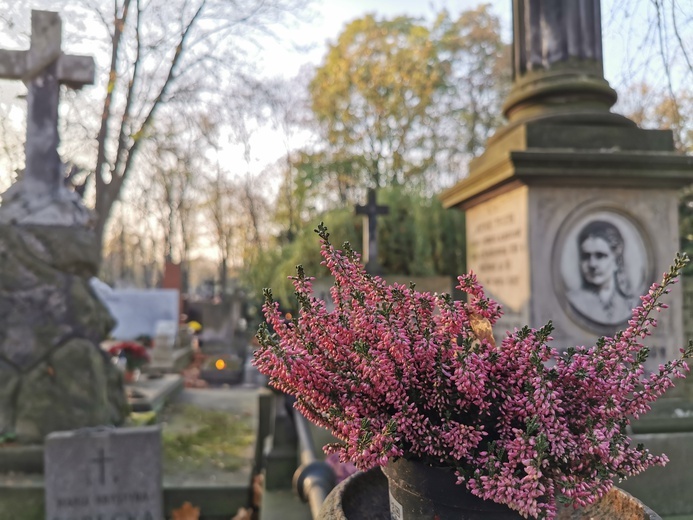 Najpiękniejsza nekropolia stolicy