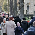 Najpiękniejsza nekropolia stolicy