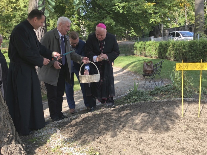 Inauguracja kampanii Pola Nadziei w Bielsku-Białej - 2019