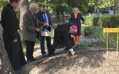 Inauguracja kampanii Pola Nadziei w Bielsku-Białej - 2019