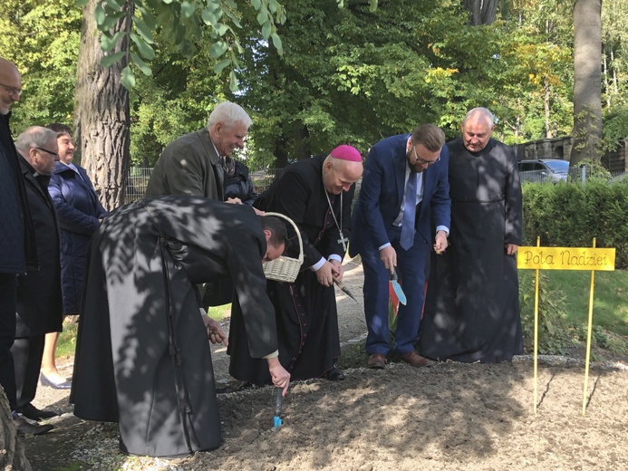 Inauguracja kampanii Pola Nadziei w Bielsku-Białej - 2019