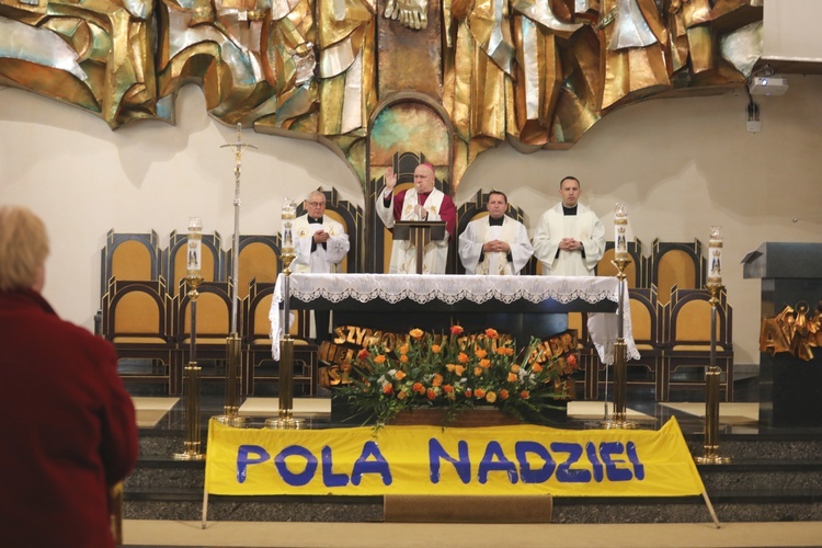 Inauguracja kampanii Pola Nadziei w Bielsku-Białej - 2019