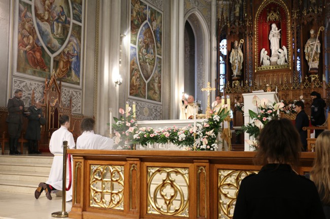 Marsz Wolności w Radomiu