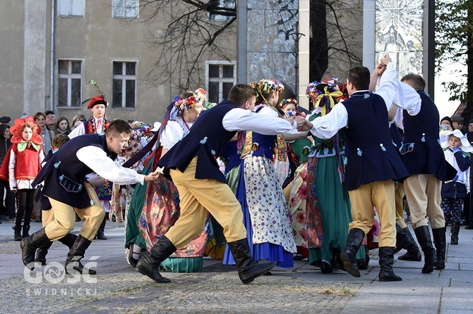 Święto Niepodległości w Świdnicy