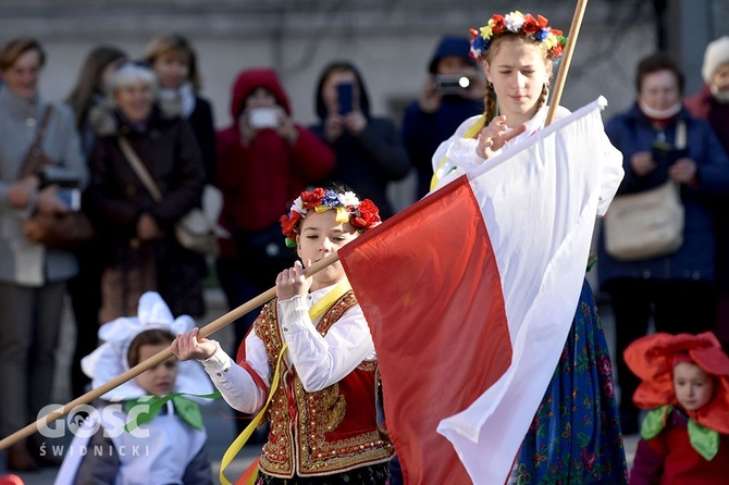 Święto Niepodległości w Świdnicy