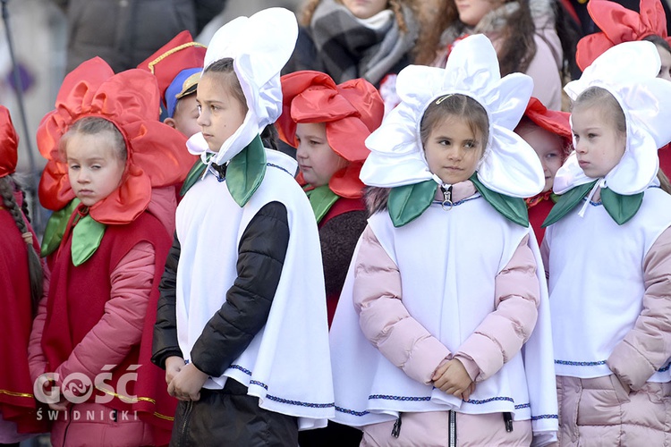 Święto Niepodległości w Świdnicy