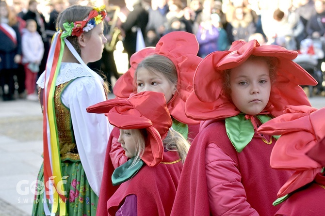 Święto Niepodległości w Świdnicy