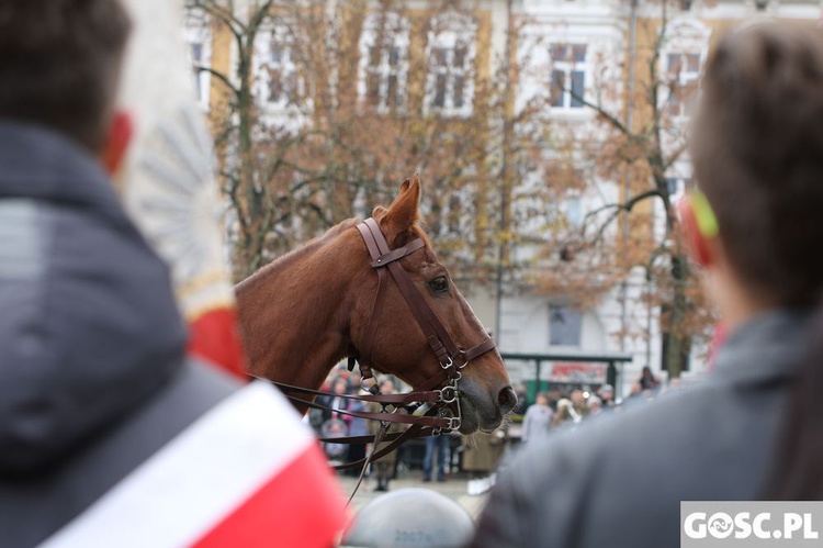 Wojewódzkie Obchody Narodowego Święta Niepodległości