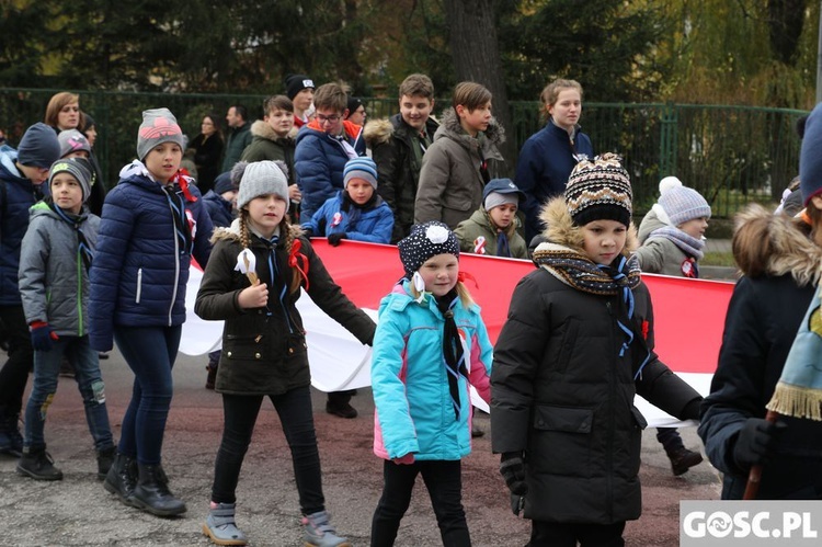 Wojewódzkie Obchody Narodowego Święta Niepodległości