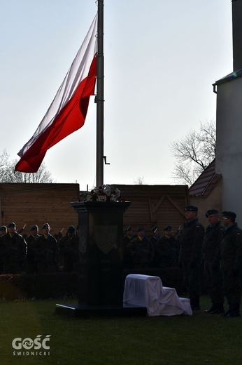 Święto Niepodległości w Strzegomiu