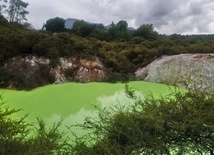 Rotorua 