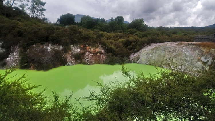 Rotorua 