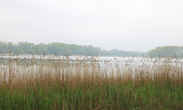 Jezioro Gopło