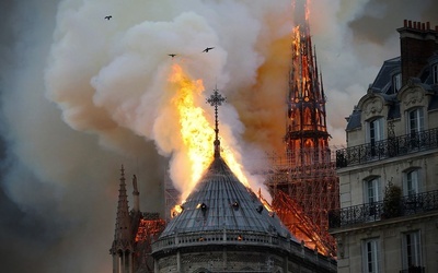 Awantura w sprawie odbudowy paryskiej katedry Notre Dame. "Proszę się zamknąć"