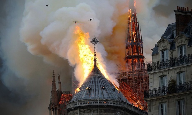 Awantura w sprawie odbudowy paryskiej katedry Notre Dame. "Proszę się zamknąć"