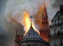 Awantura w sprawie odbudowy paryskiej katedry Notre Dame. "Proszę się zamknąć"