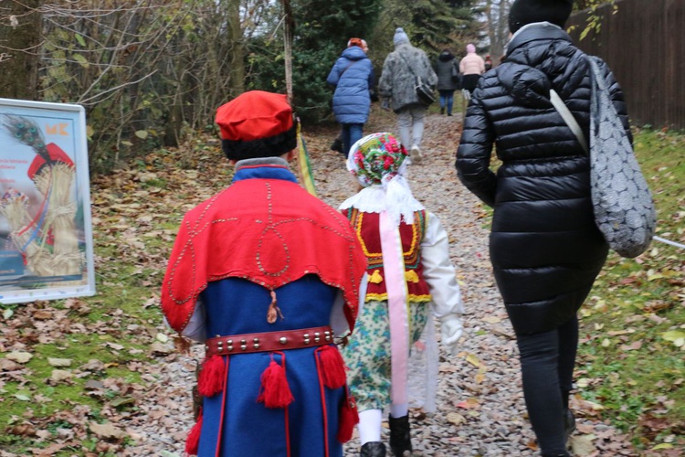 Osadzanie chochoła przed Rydlówką 2019