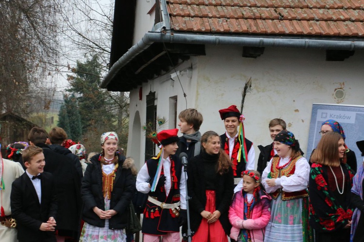 Osadzanie chochoła przed Rydlówką 2019