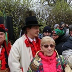 Osadzanie chochoła przed Rydlówką 2019