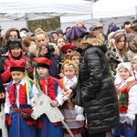 Osadzanie chochoła przed Rydlówką 2019