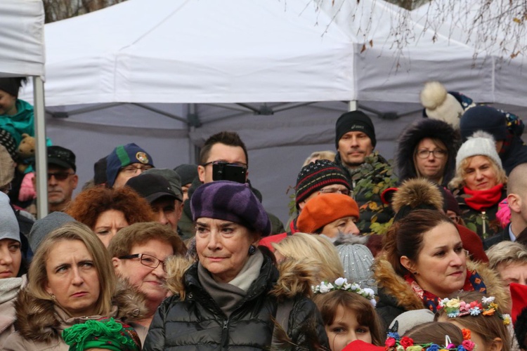 Osadzanie chochoła przed Rydlówką 2019