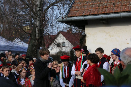 Osadzanie chochoła przed Rydlówką 2019