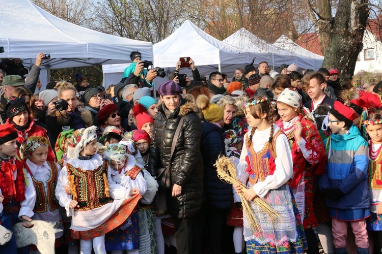 Osadzanie chochoła przed Rydlówką 2019