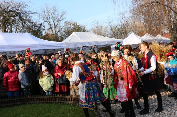 Osadzanie chochoła przed Rydlówką 2019