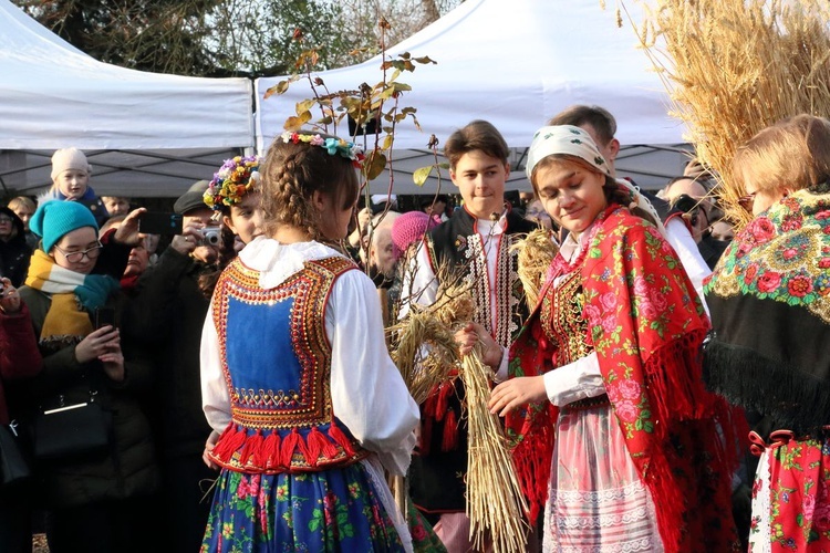 Osadzanie chochoła przed Rydlówką 2019