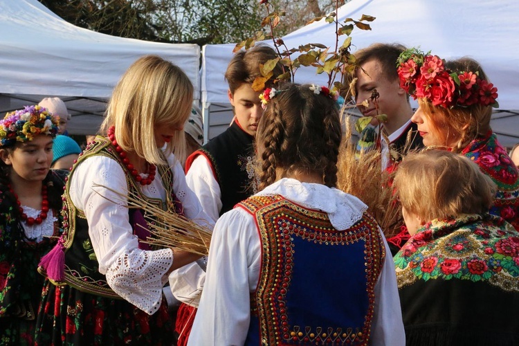 Osadzanie chochoła przed Rydlówką 2019