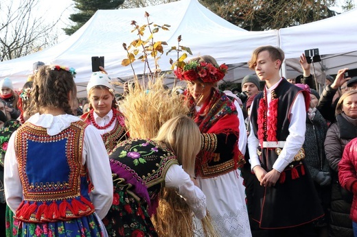 Osadzanie chochoła przed Rydlówką 2019