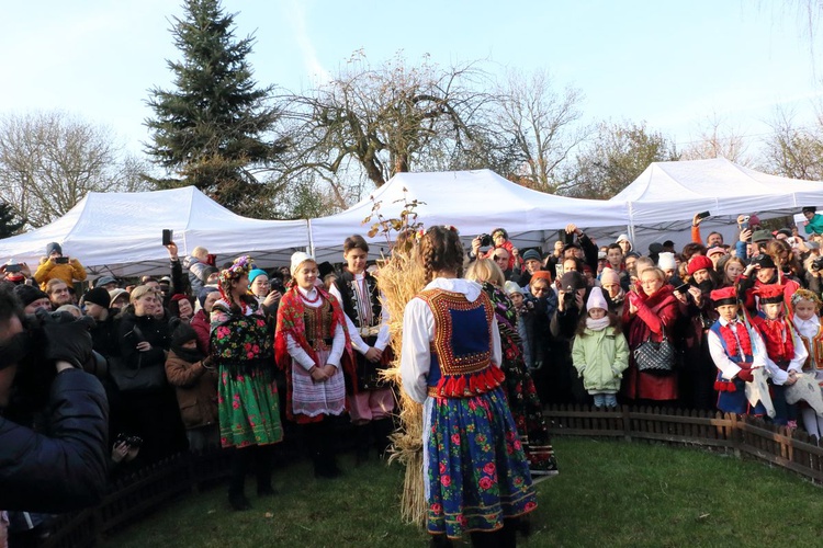 Osadzanie chochoła przed Rydlówką 2019