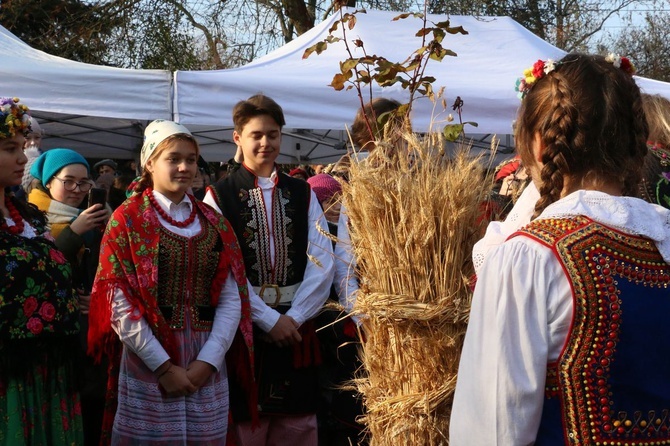 Osadzanie chochoła przed Rydlówką 2019