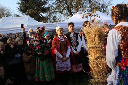 Osadzanie chochoła przed Rydlówką 2019