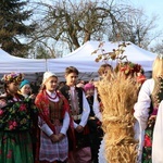 Osadzanie chochoła przed Rydlówką 2019