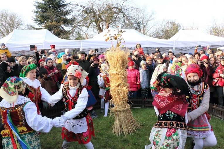 Osadzanie chochoła przed Rydlówką 2019